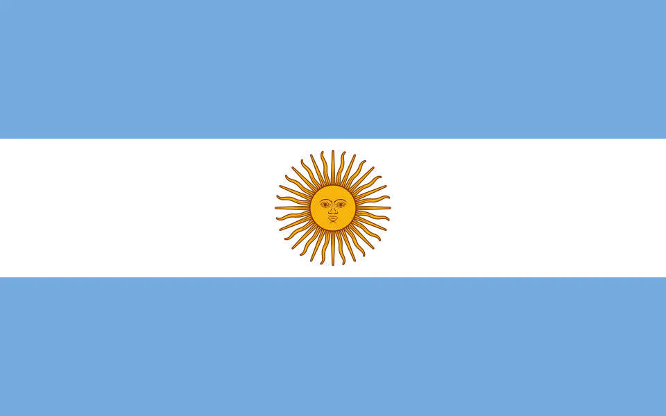 Visa para argentinos que viajan a Nueva York: todo lo que necesitás saber en 2026