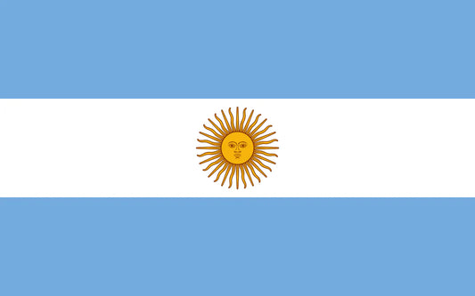 Visa para argentinos que viajan a Nueva York: todo lo que necesitás saber en 2026